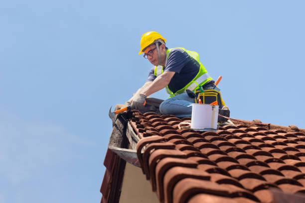 Best Roof Moss and Algae Removal  in Marion, MS